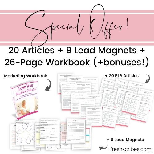 20-Article Bundle + 9 Lead Magnets + Marketing Workbook