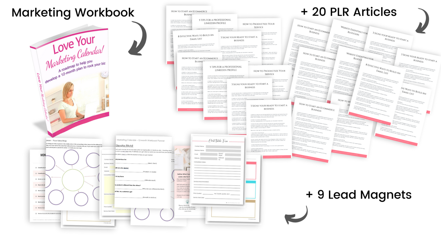 DOUBLE BUNDLE - Create-A-Workbook Kit + PLR 20 Article + Lead Magnet Set